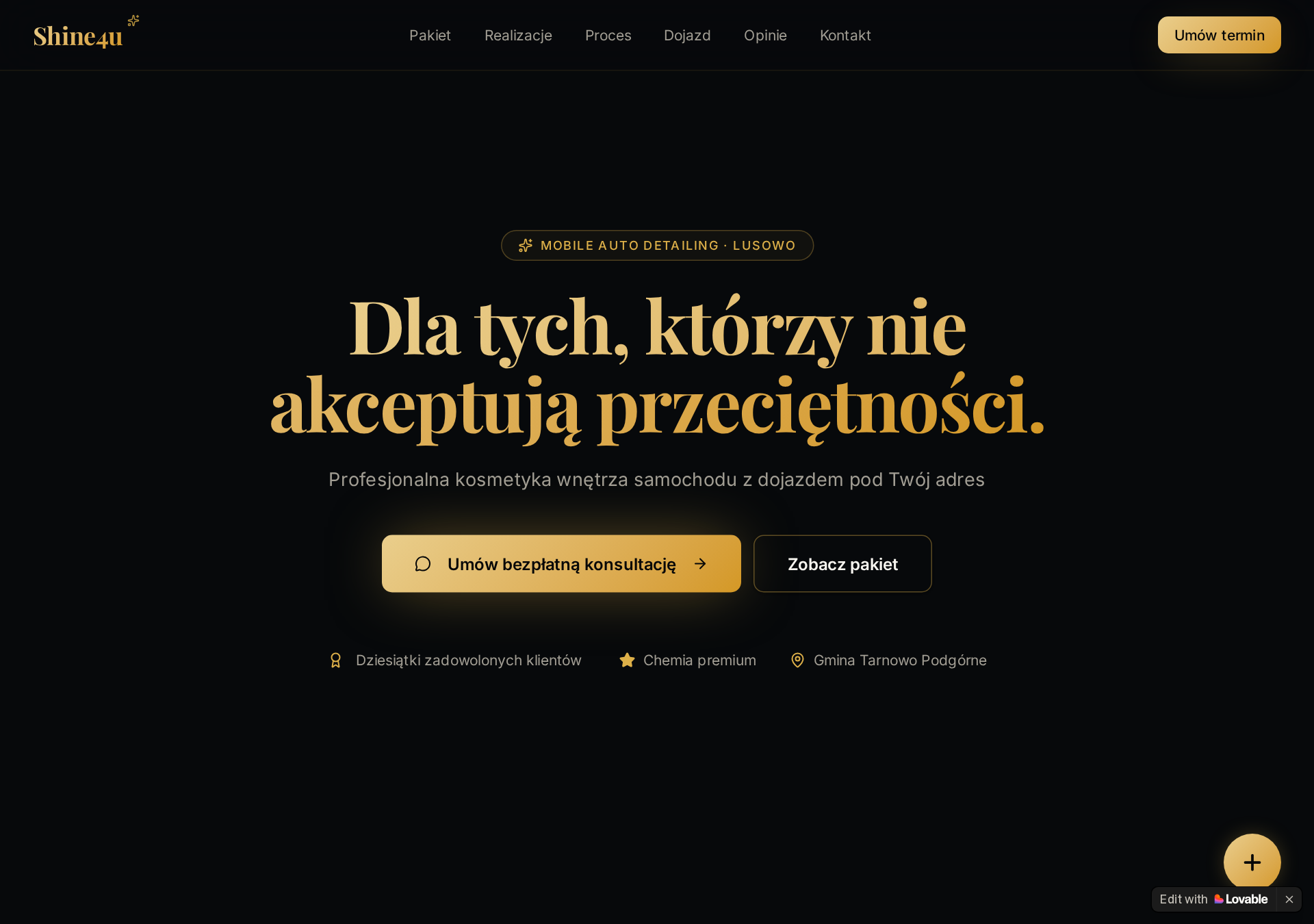 Strona shine4u.pl — mobilny auto detailing (przykładowa realizacja Kaloo)
